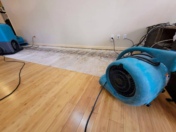 Professional Burst Pipe Water Damage technician working in Holden, WV